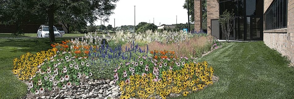 Low-maintenance Landscape Design for Minneapolis