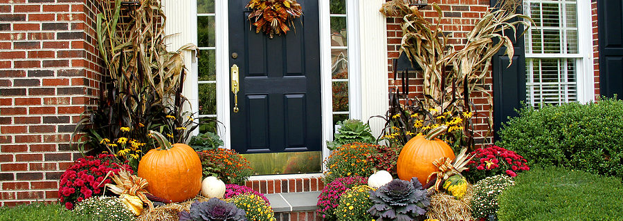 Landscaping Ideas for Minneapolis for Thanksgiving