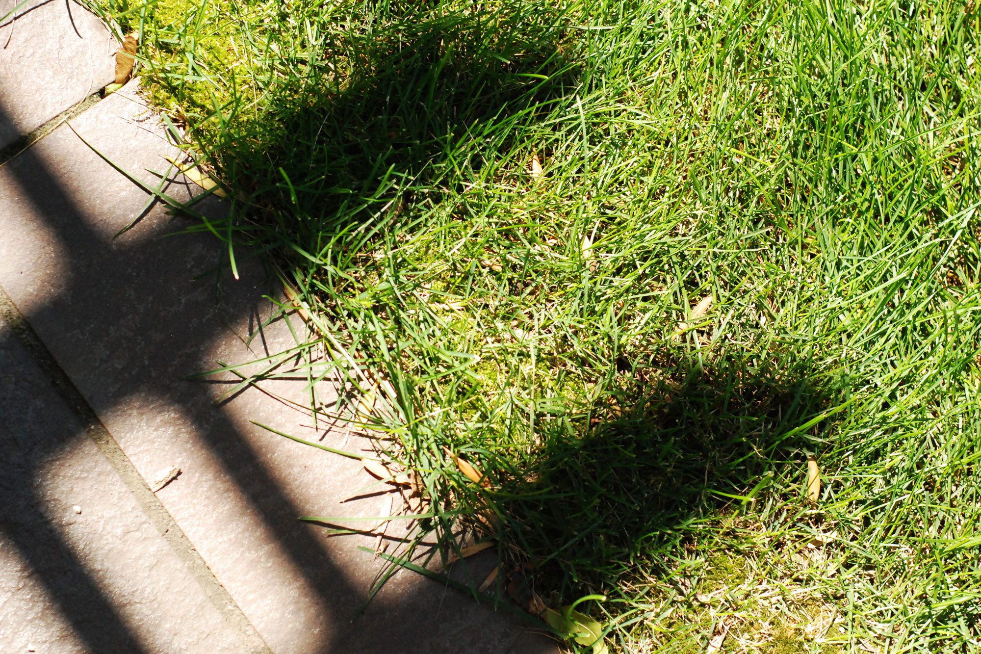 Landscaping Minneapolis MN