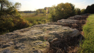 Minneapolis Landscape Design