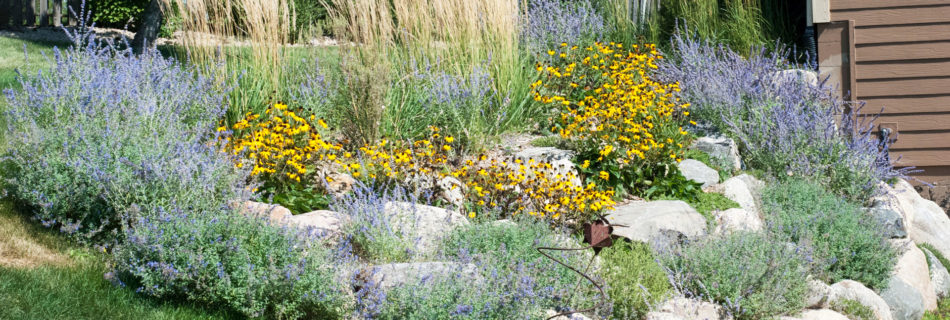 Landscaping Minneapolis MN