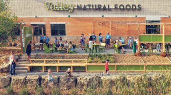 Landscape Design Minneapolis - Landscaping