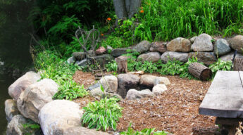 Minneapolis Landscaping Ideas