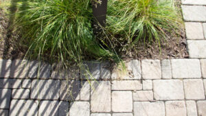 Landscape Design Minneapolis