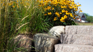 Landscape Design Minnesota