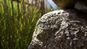 Landscaping Minneapolis